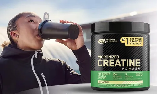 Optimum Nutrition Micronized Creatine Powder!