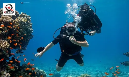 Dive Into an Unforgettable Underwater Adventure with Q Divers Center!