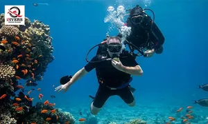q-drivers-_dealimage_entertainment-dive-3copy.jpg