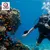 q-drivers-_dealimage_entertainment-dive-3copy.jpg