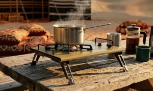 green-lion-gcs-20-foldable-camping-stove_dealimage_product-copy-3.webp