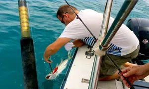 qatar-international-tours-4-_dealimage_enteratinment-_reel-fish-speedboat-copy.jpg