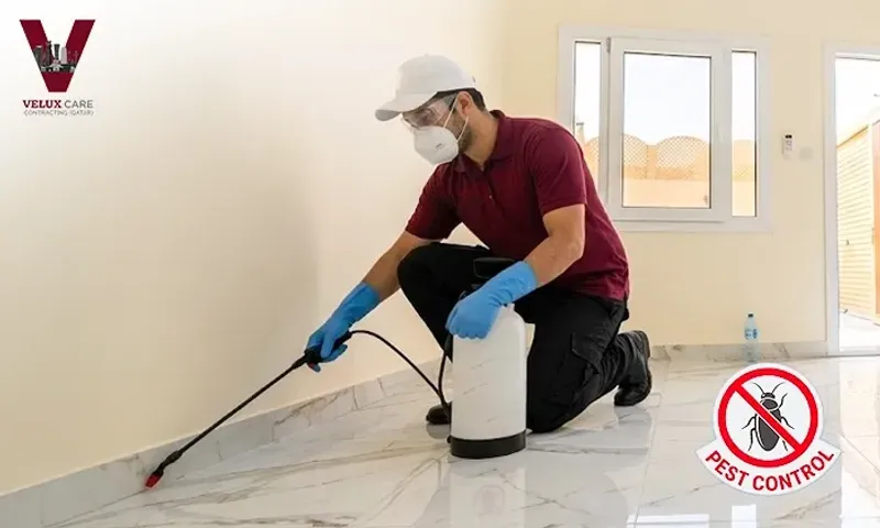 Professional Pest Control for Apartments & Villas!