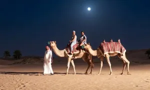 tripsync-travel_dealimage_entertainement_night-safari-9-copy.webp