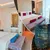 shaza_dealimage_fb_1staycation-main-copy.jpg