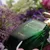 afnan-mystique-bouquet-_dealimage_product_perfume-1copy.jpg