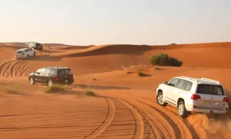 4-Hour Desert Safari for SIX!