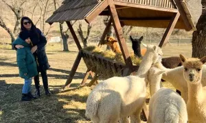 azerbaijan-adventure_dealimage_entertainement_azerbaijan-daily-tours-ancient-heritage-1-copy.webp