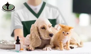 elite-pet-_deal-image_health-clinic-_vaccination-1-copy.webp