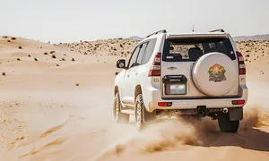 adventuretime_dealimage_enteratinment_safari-camel-copy.jpg