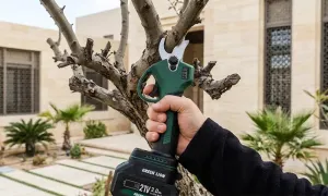 green-lion-electric-pruning-shears_dealimage_product-copy-1.webp
