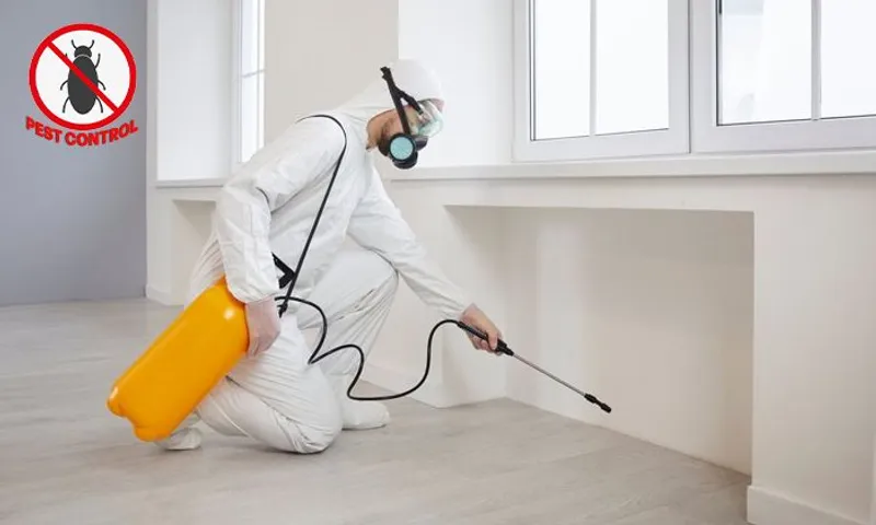 Shield Your Space with Pest Control Treatment!