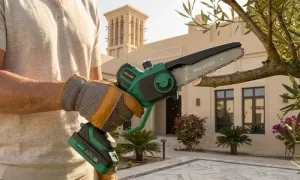 green-lion-ges-6-cordless-electric-chainsaw-_dealimage_product-copy-4.webp