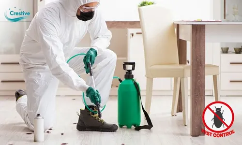 Pest Control Service - Bye-Bye Bugs!
