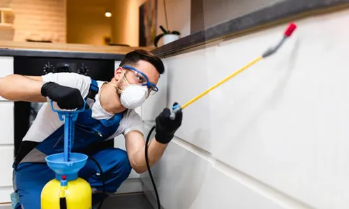Pest Control Services!
