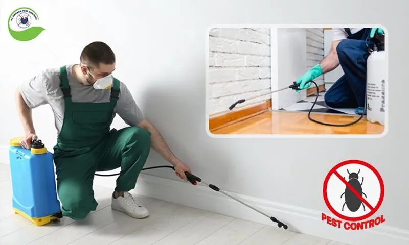 Interior OR Exterior Pest Control Services!