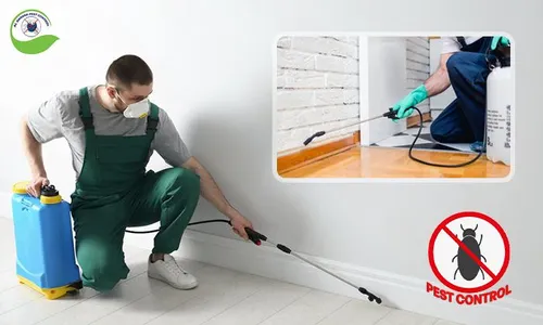 Interior OR Exterior Pest Control Services!