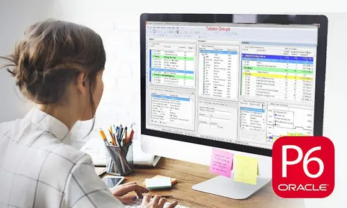 Primavera P6 Beginner & Intermediate Training Online Class!